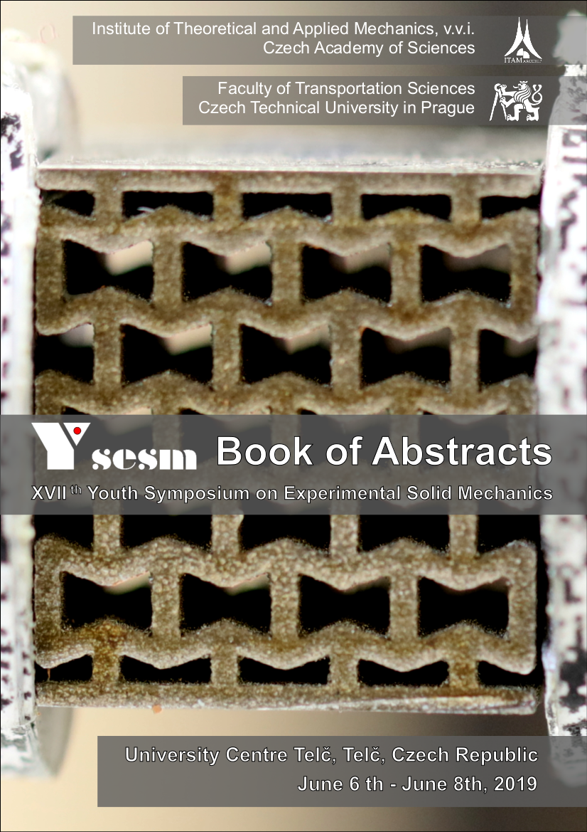 ysesm2019_book_of_abstracts
